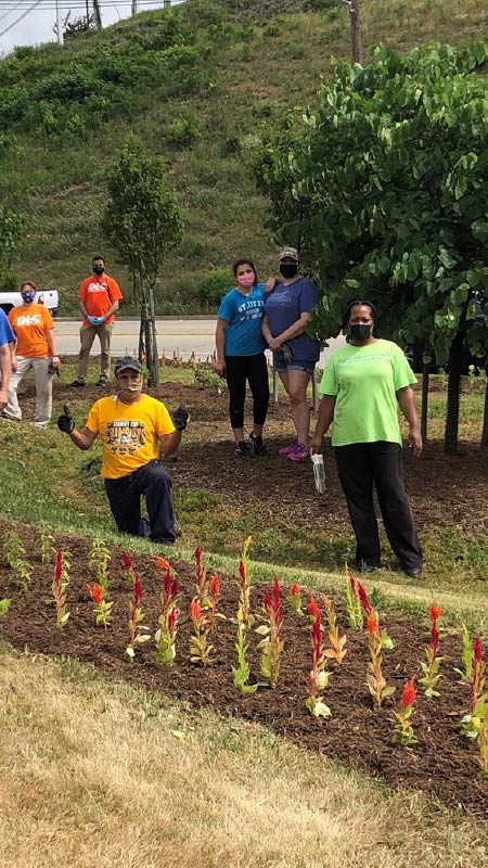 Volunteer at our community gardens